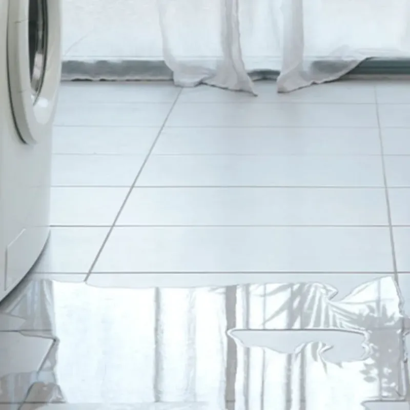 Appliance Leak Cleanup in Wauconda, IL
