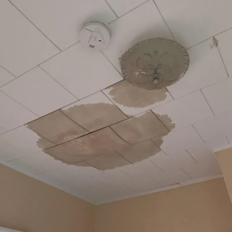 Ceiling Water Damage Repair in Wauconda, IL